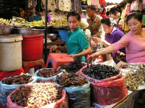 Insektenmarkt in Kambodscha - lecker!