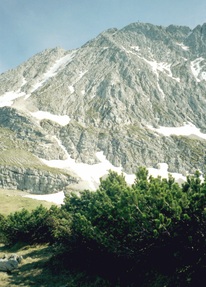 Blick vom Gemsanger auf die Wettersteinspitze