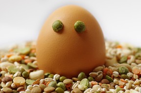 gesunde Ernährung: Hülsenfrüchte, Eier