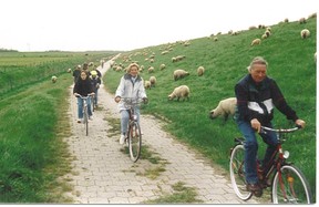 Fahrradtouren am Nordseedeich