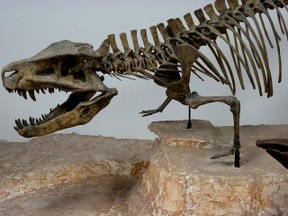Dinosaurier im Museum
