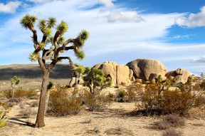 Wüste in New Mexico