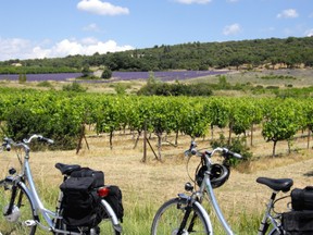 E-Bike bei Méthamis - Mont Ventoux©ValérieBiset - Coll. ADT Vaucluse Tourisme