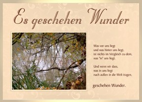 Wunder - ille Dunkel/pixelio.de