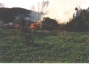 Gartenabfälle verbrennen