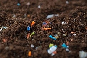 agrarheute Mikroplastik im Boden
