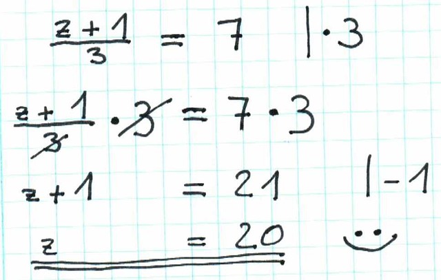 Gleichungen mit einer unbekannten Variable lösen