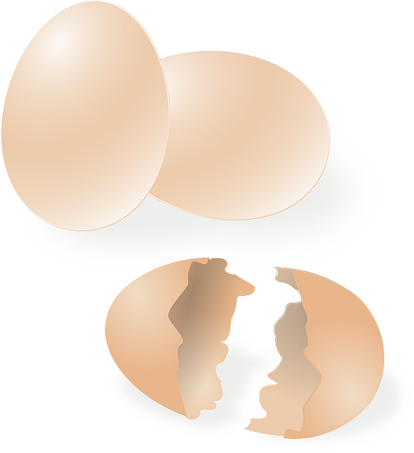 ROTER PUNKT IM EI WOHER KOMMT DAS visual data 2