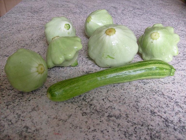 Zucchini einfrieren, Rezepte für Zucchini-Pilz-Risotto und Gratin