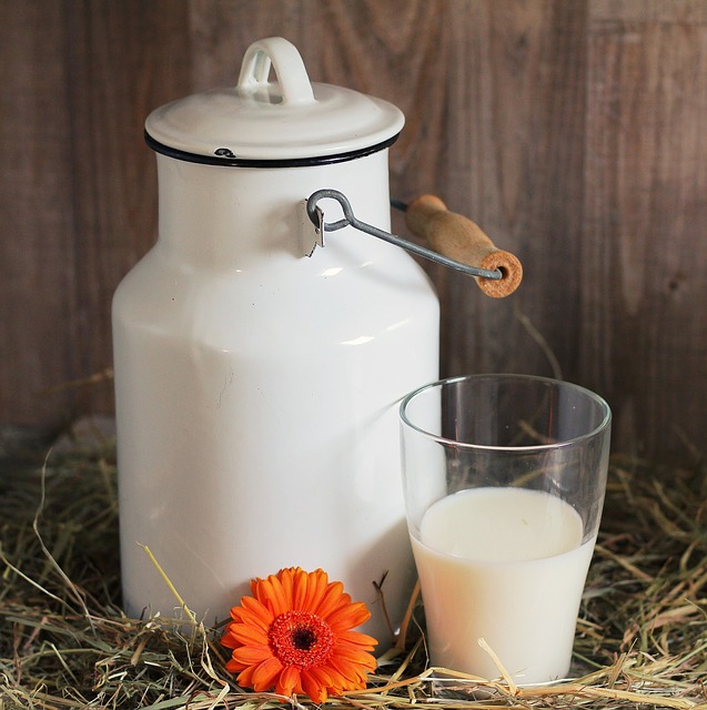 Milch - vom Naturprodukt zum Industrieprodukt. Wie gesund ist sie heute